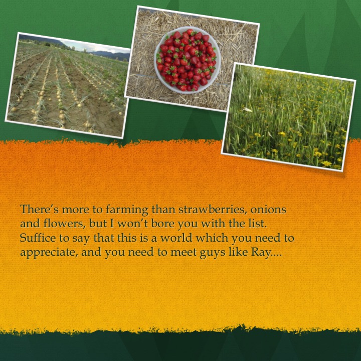 Galey’s Farm by Stephen Pohlmann - Illustrated by Stephen Pohlmann - Ourboox.com