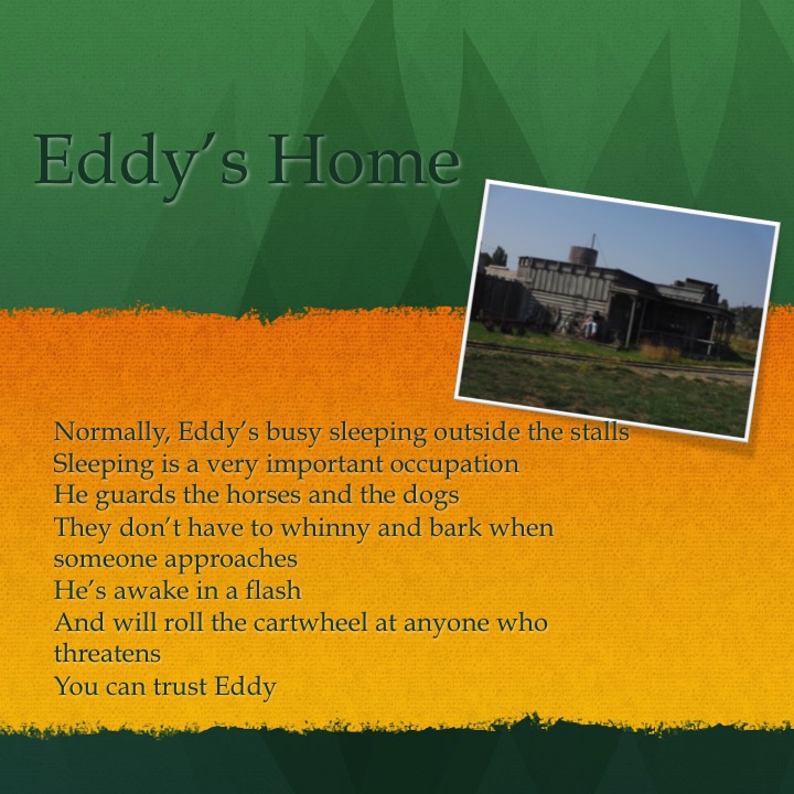 Galey’s Farm by Stephen Pohlmann - Illustrated by Stephen Pohlmann - Ourboox.com