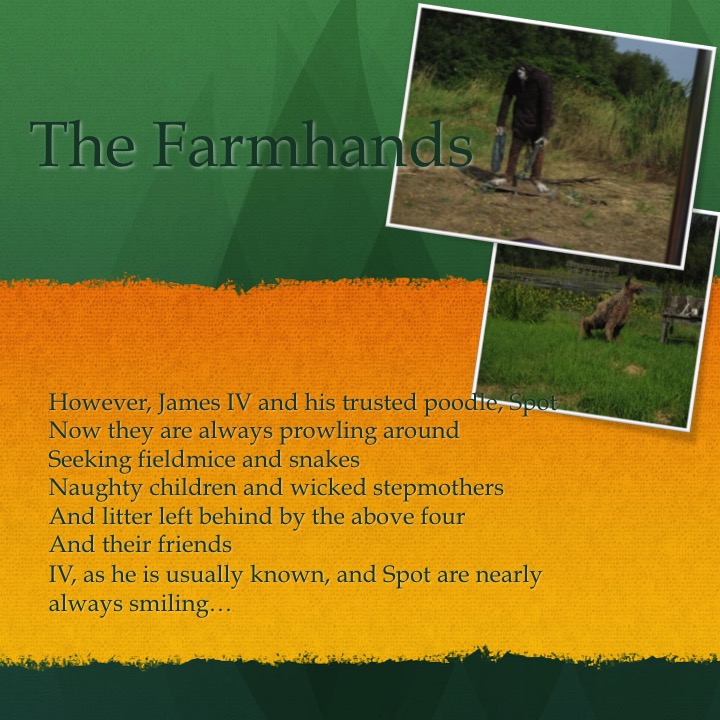 Galey’s Farm by Stephen Pohlmann - Illustrated by Stephen Pohlmann - Ourboox.com