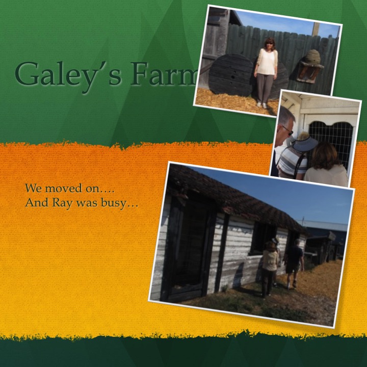 Galey’s Farm by Stephen Pohlmann - Illustrated by Stephen Pohlmann - Ourboox.com
