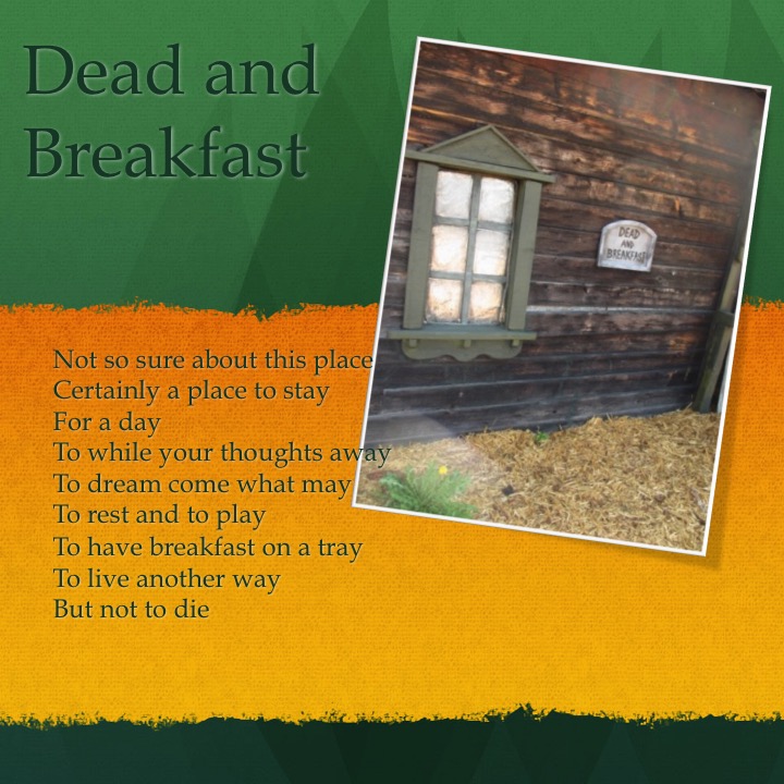 Galey’s Farm by Stephen Pohlmann - Illustrated by Stephen Pohlmann - Ourboox.com
