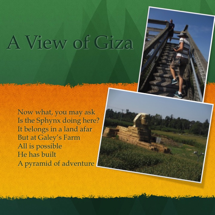 Galey’s Farm by Stephen Pohlmann - Illustrated by Stephen Pohlmann - Ourboox.com
