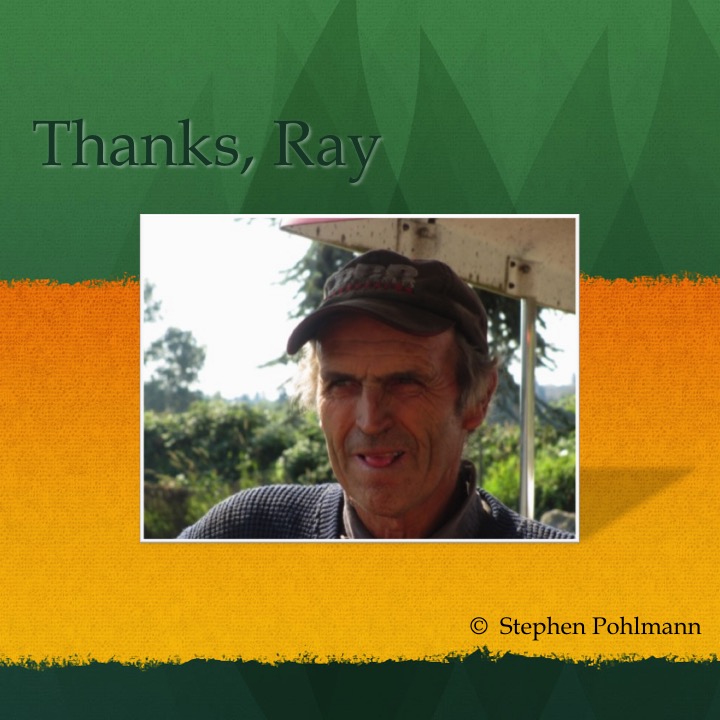 Galey’s Farm by Stephen Pohlmann - Illustrated by Stephen Pohlmann - Ourboox.com