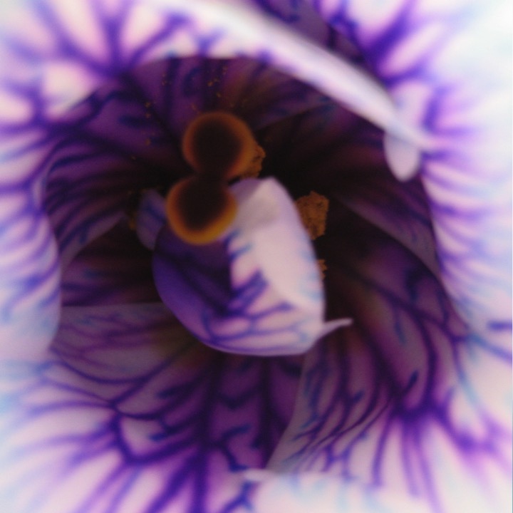 Creation – My Creation by Stephen Pohlmann - Illustrated by Stephen Pohlmann - Ourboox.com