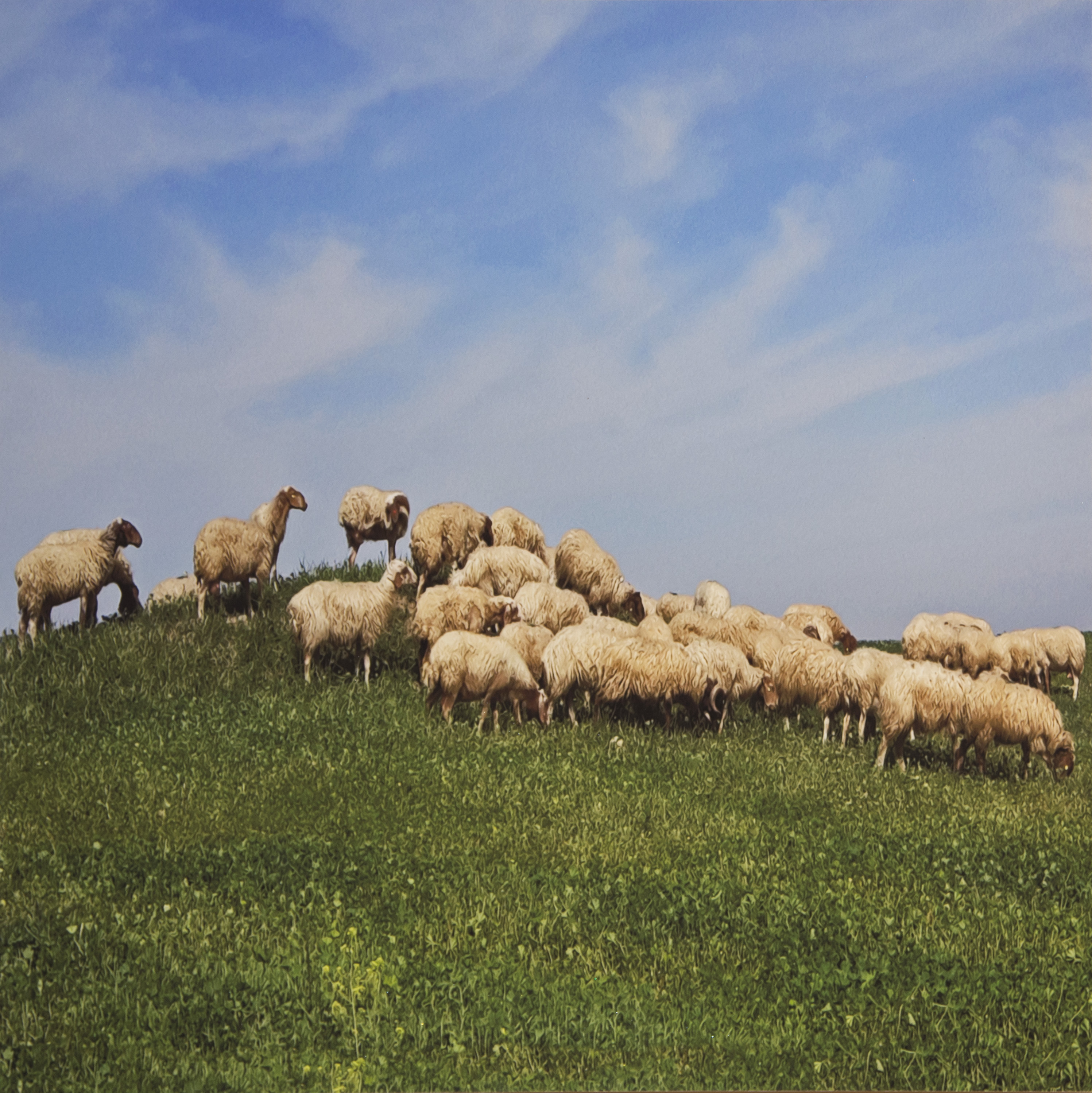 צבעי הדממה תערוכת מחווה לסיימון וגרפונקל by sigal aybes - Illustrated by אוצר: אבי אבנר - Ourboox.com