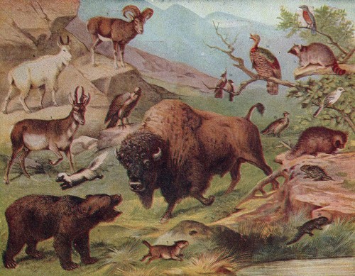 Wamákȟaškaŋ by Allen Wilson - Illustrated by google image search - Ourboox.com Wamákȟaškaŋ by Allen Wilson - Illustrated by google image search - Ourboox.com