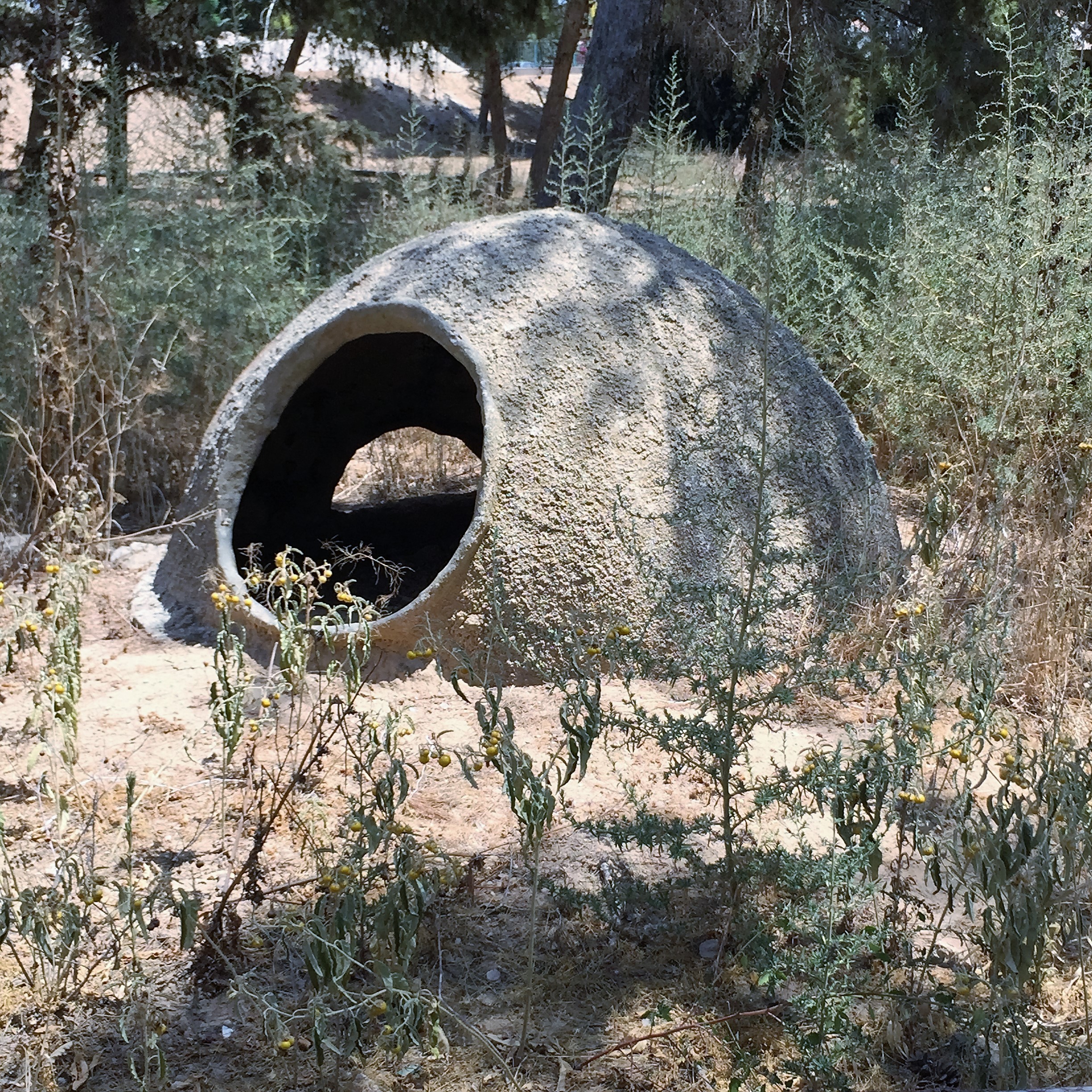 The Strange Huts at Dvira Ourboox