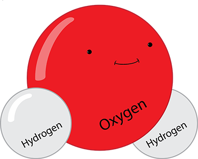 My Life as a Water Molecule My Life as a Water Molecule