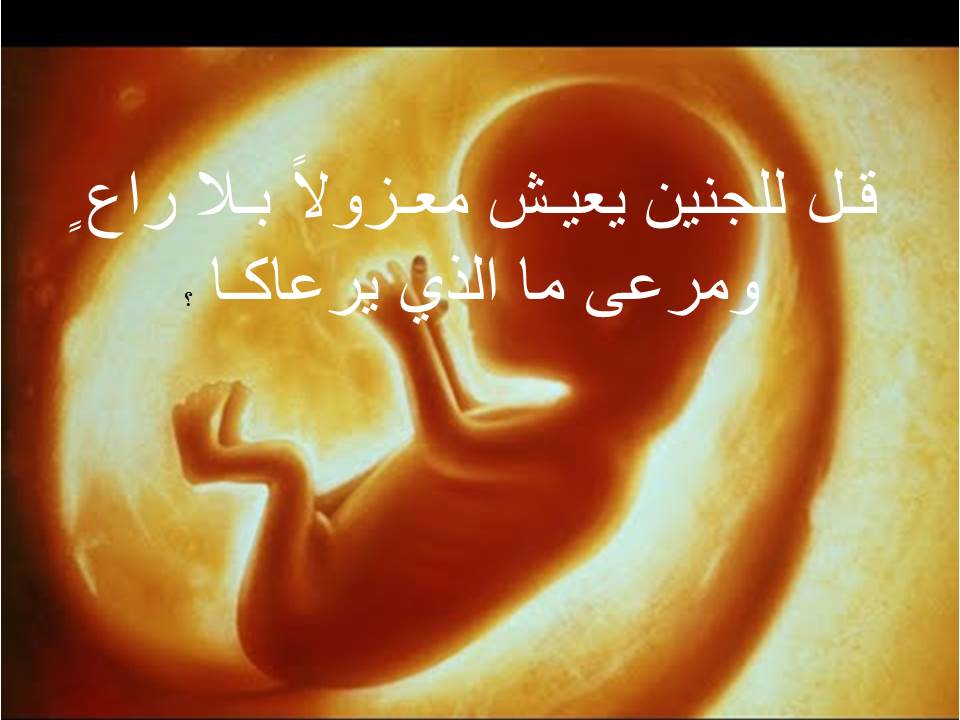 Om-Mariem Abdo by naa - Illustrated by facbook - Ourboox.com