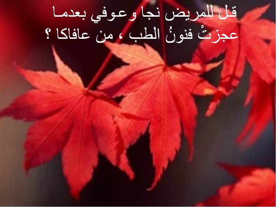 Om-Mariem Abdo by naa - Illustrated by facbook - Ourboox.com