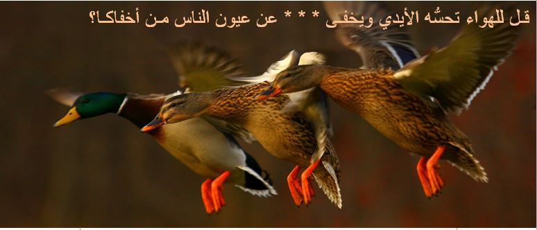 Om-Mariem Abdo by naa - Illustrated by facbook - Ourboox.com