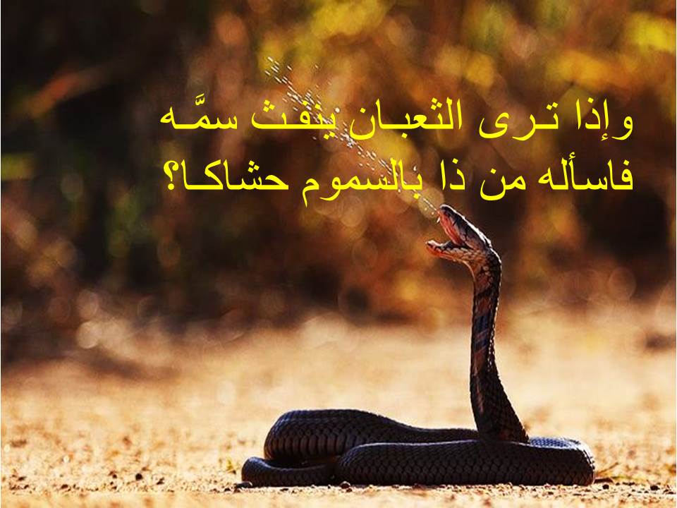 Om-Mariem Abdo by naa - Illustrated by facbook - Ourboox.com