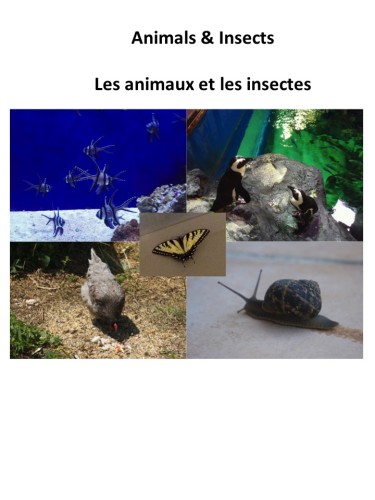 Animals and Insects by Gail Prasad - Ourboox.com Animals and Insects by Gail Prasad - Ourboox.com