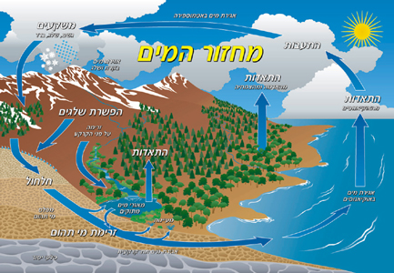 מחזור המים בטבע by ayelet shlezinger - Illustrated by איילת שלזינגר - Ourboox.com