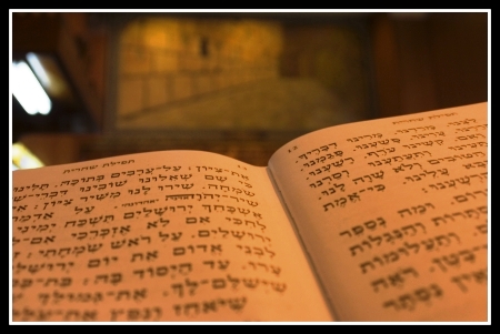 גשם by rotem ashush - Ourboox.com