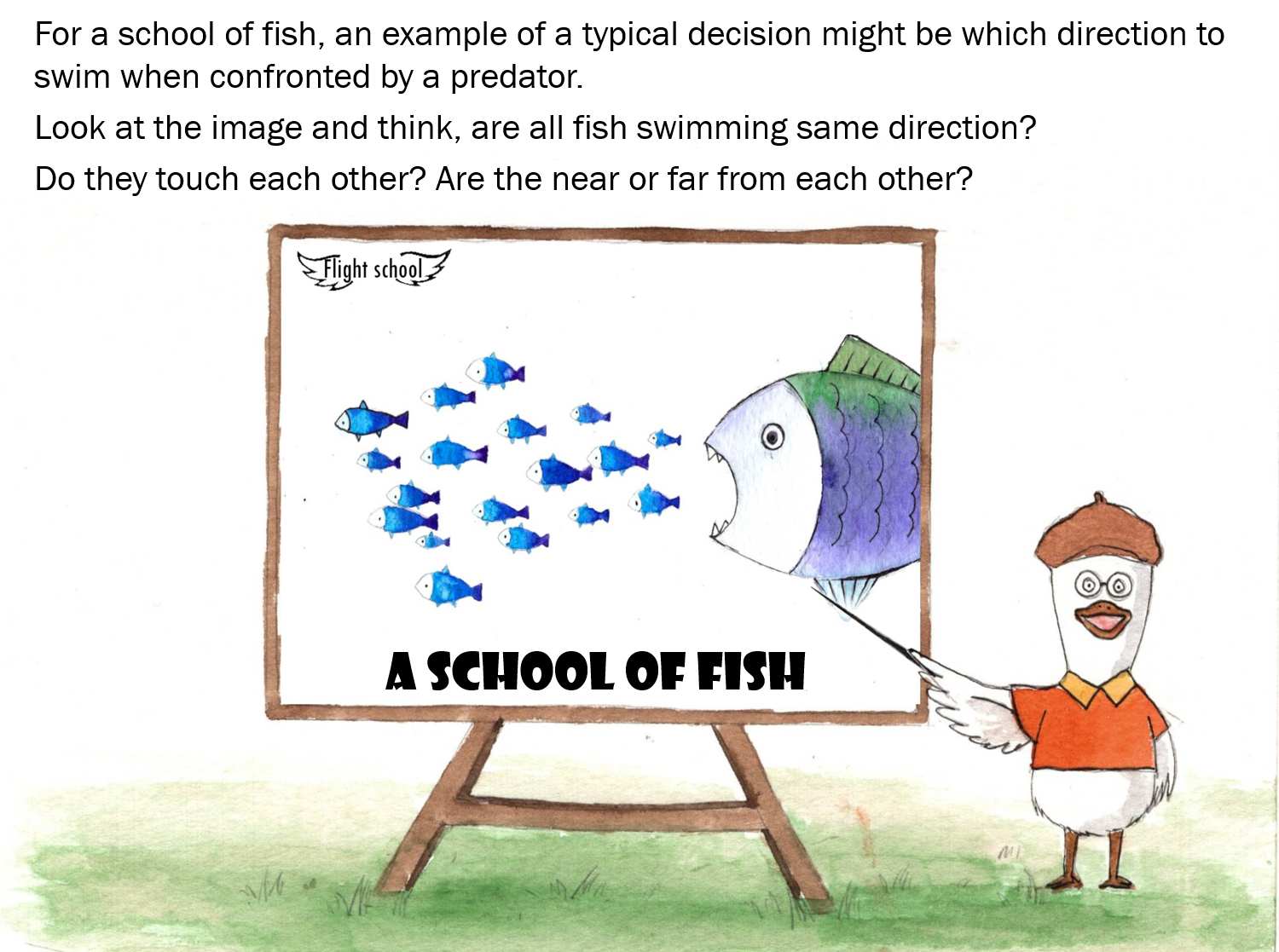 A flight guidefor little yellow ducks Ourboox