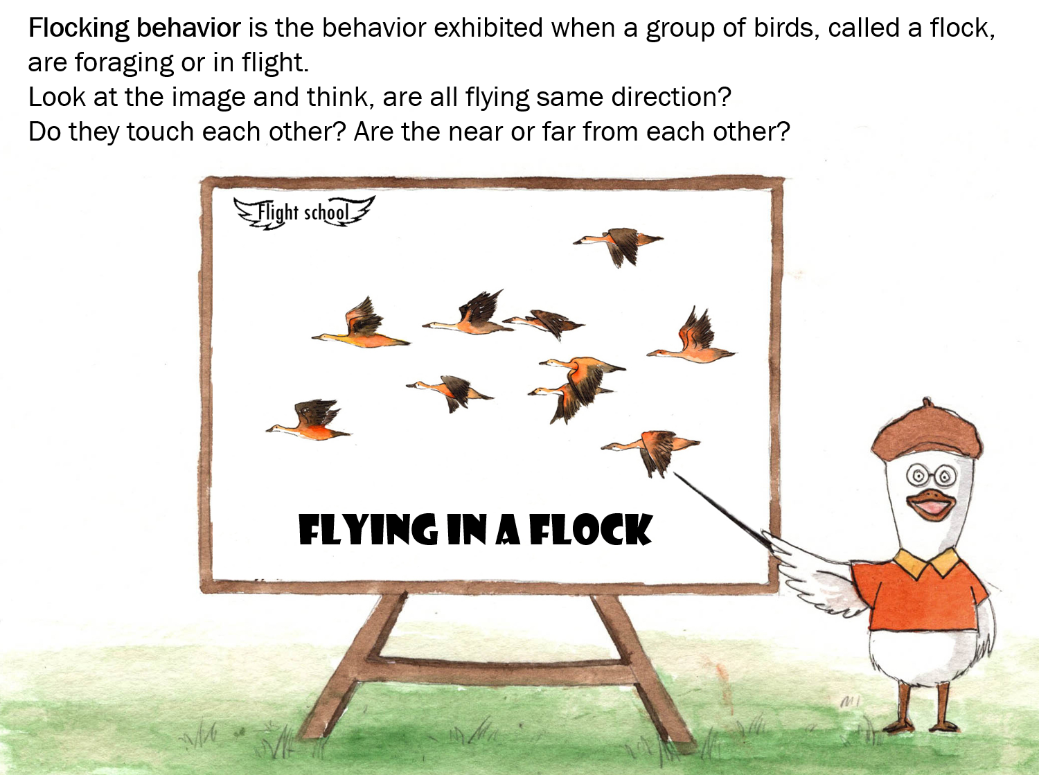 A flight guidefor little yellow ducks Ourboox