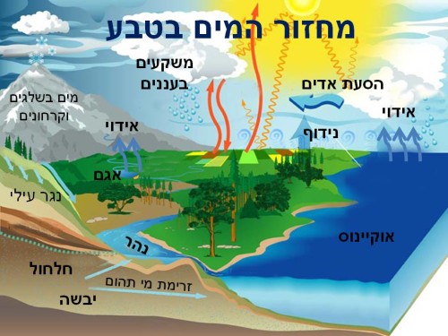 מחזור המים בטבע by ayelet shlezinger - Illustrated by איילת שלזינגר - Ourboox.com מחזור המים בטבע by ayelet shlezinger - Illustrated by איילת שלזינגר - Ourboox.com