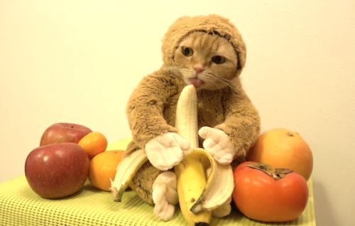 Things You can’t Do with Bananas 十件不能用香蕉完成的事 by Xuejun Zhu - Ourboox.com Things You can’t Do with Bananas 十件不能用香蕉完成的事 by Xuejun Zhu - Ourboox.com