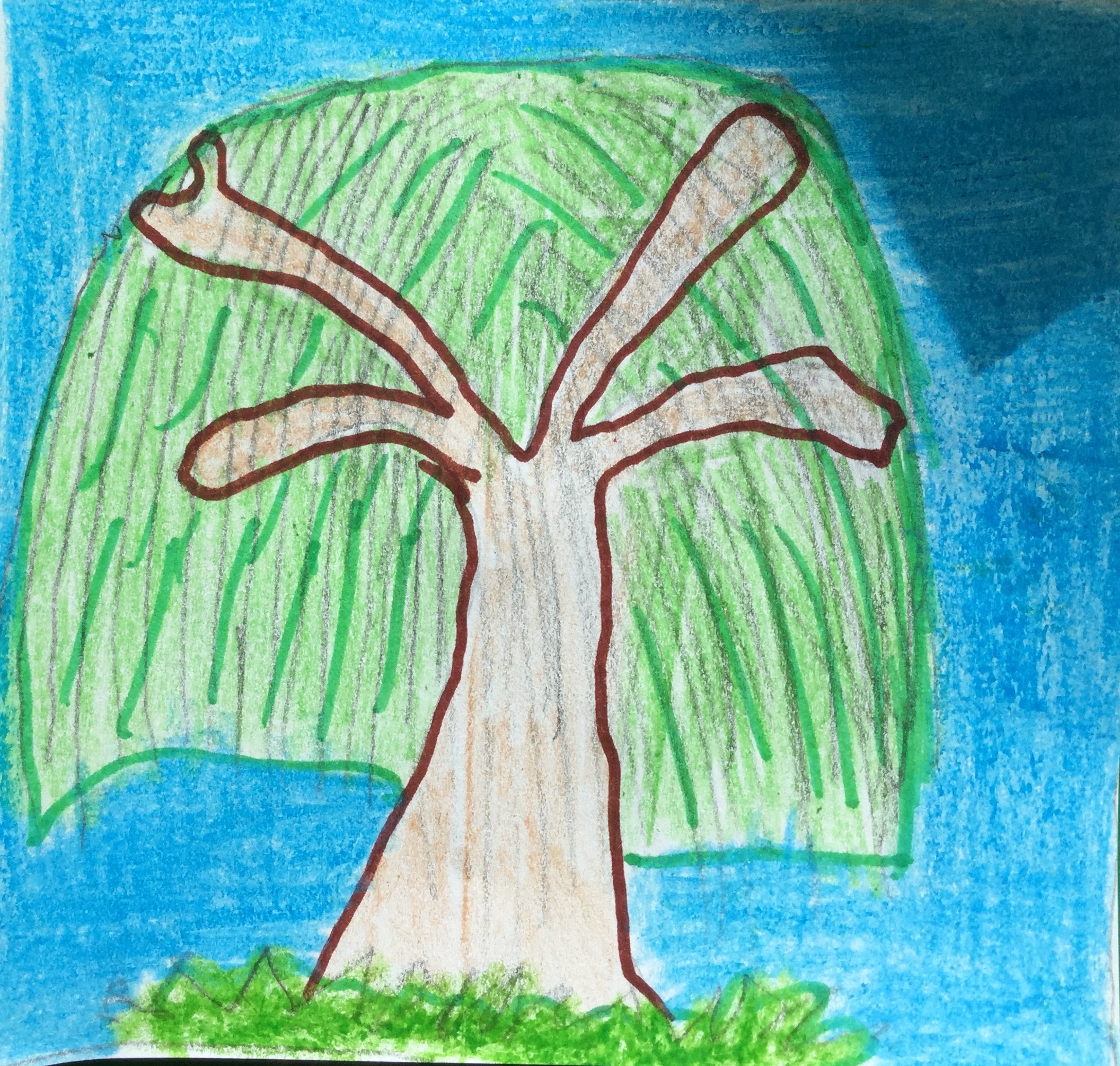 Gli alberi in stagione by Vittoria Volterrani - Illustrated by Davide,Gloria,Andrea e Beatrice - Ourboox.com