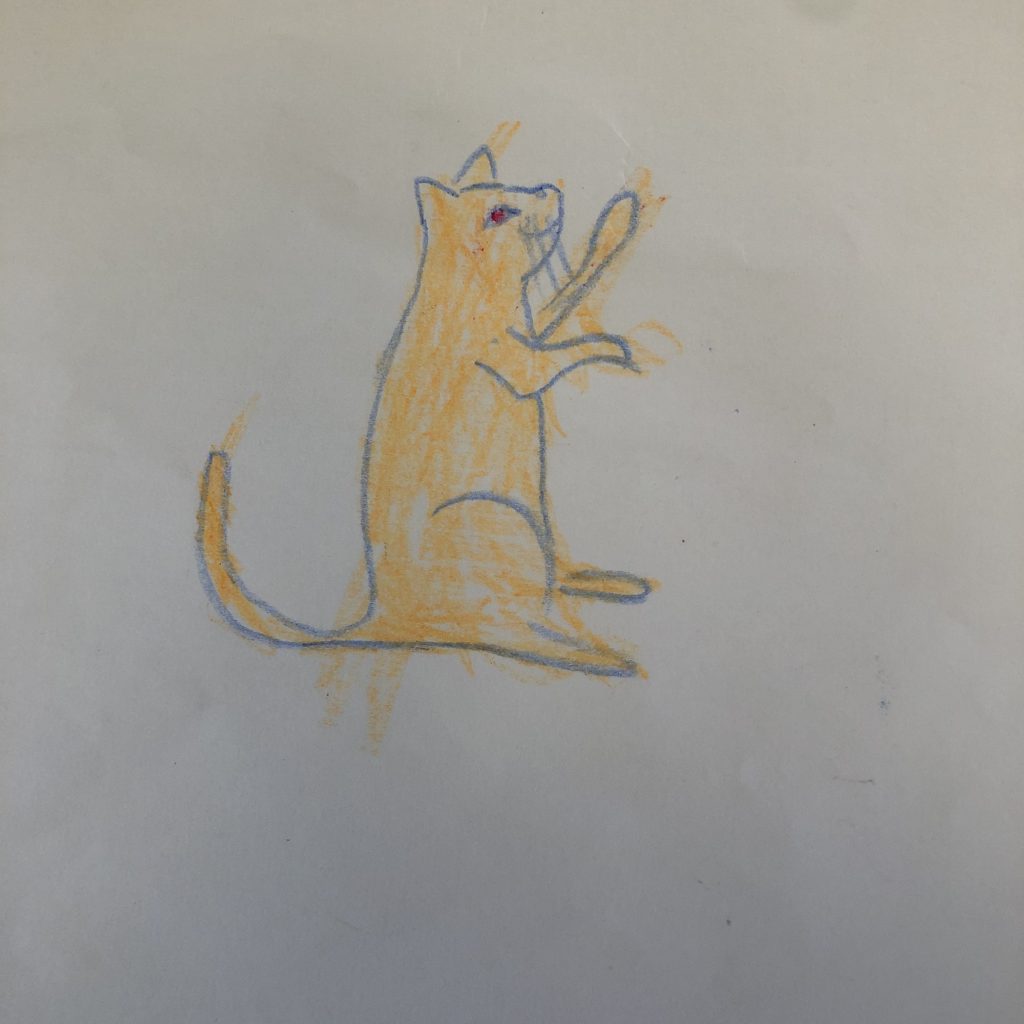 50W – Cat’s Whiskers by Stephen Pohlmann - Illustrated by Andy Nakdimon-Pohlmann - Ourboox.com