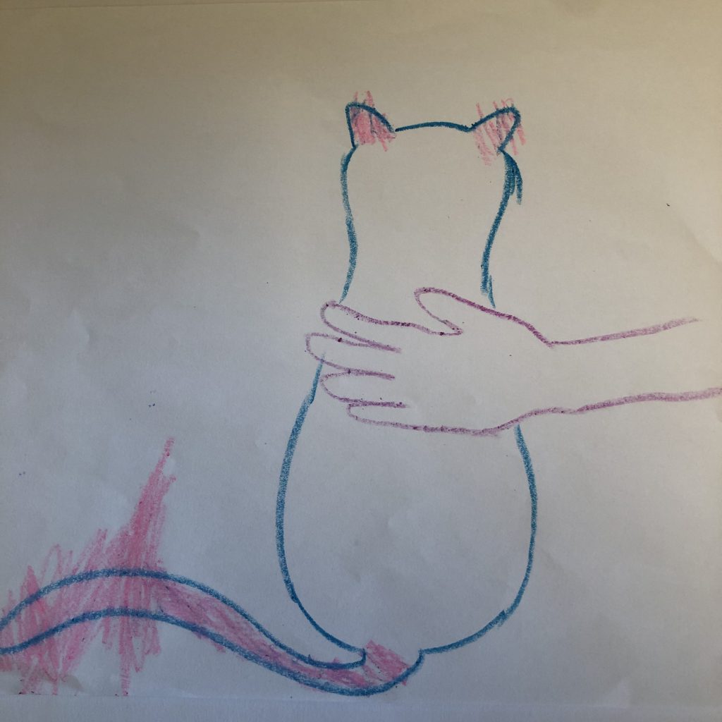 50W – Cat’s Whiskers by Stephen Pohlmann - Illustrated by Andy Nakdimon-Pohlmann - Ourboox.com