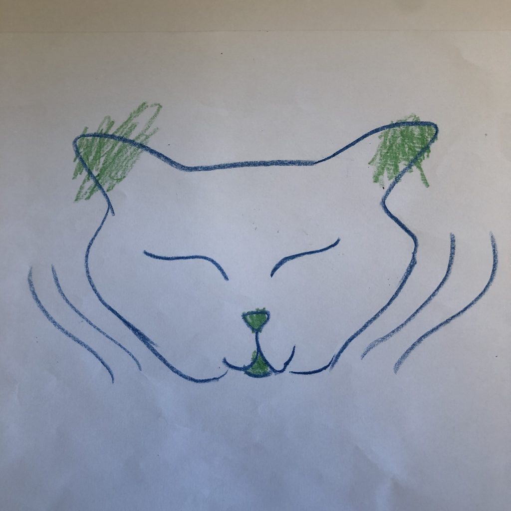50W – Cat’s Whiskers by Stephen Pohlmann - Illustrated by Andy Nakdimon-Pohlmann - Ourboox.com