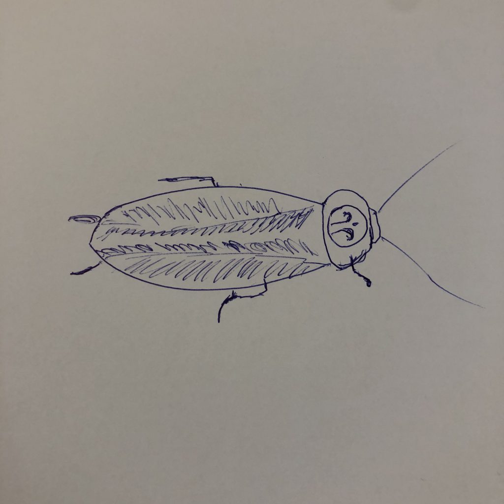 50W – The Beautiful Cockroach by Stephen Pohlmann - Illustrated by By the Author - Ourboox.com