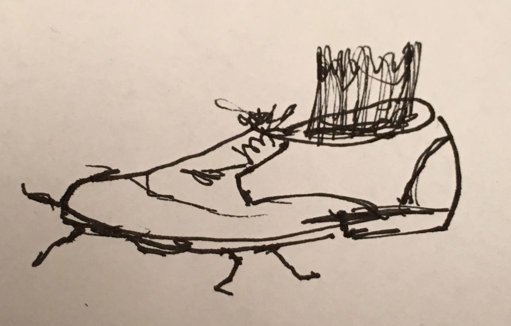 50W – The Beautiful Cockroach by Stephen Pohlmann - Illustrated by By the Author - Ourboox.com