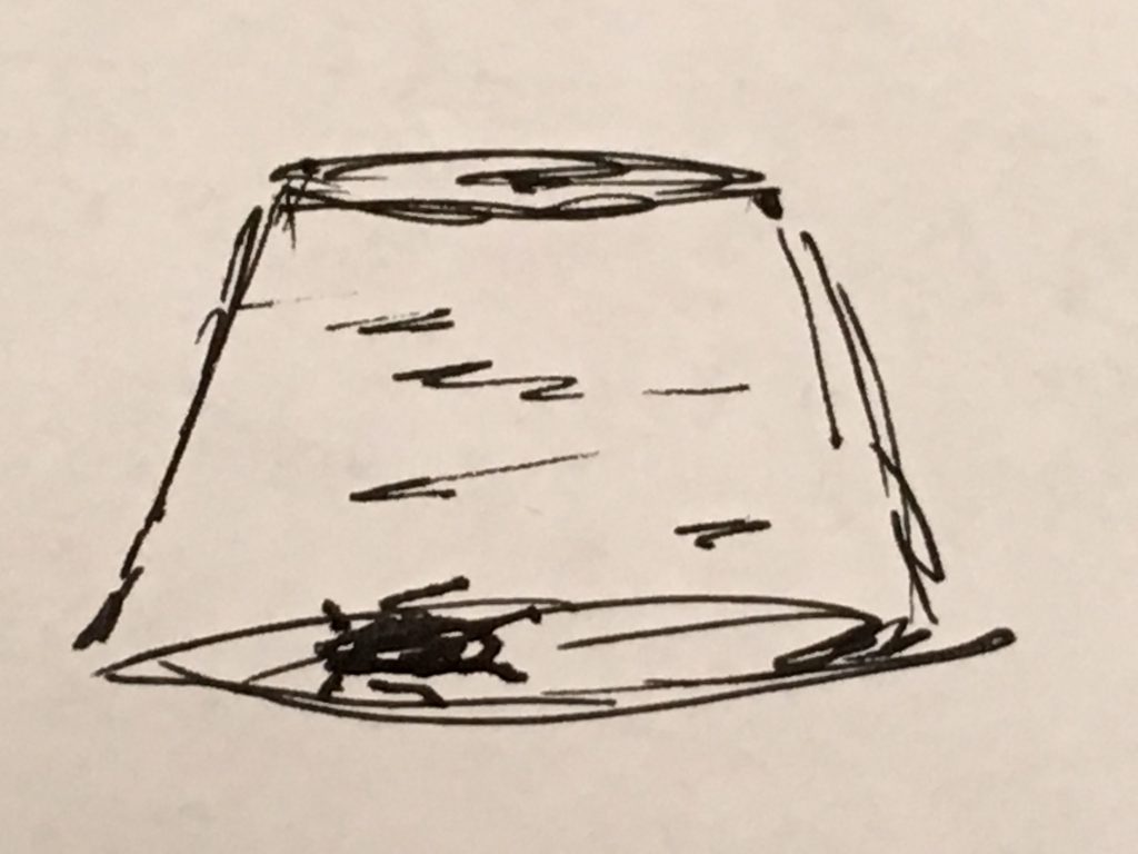 50W – The Beautiful Cockroach by Stephen Pohlmann - Illustrated by By the Author - Ourboox.com