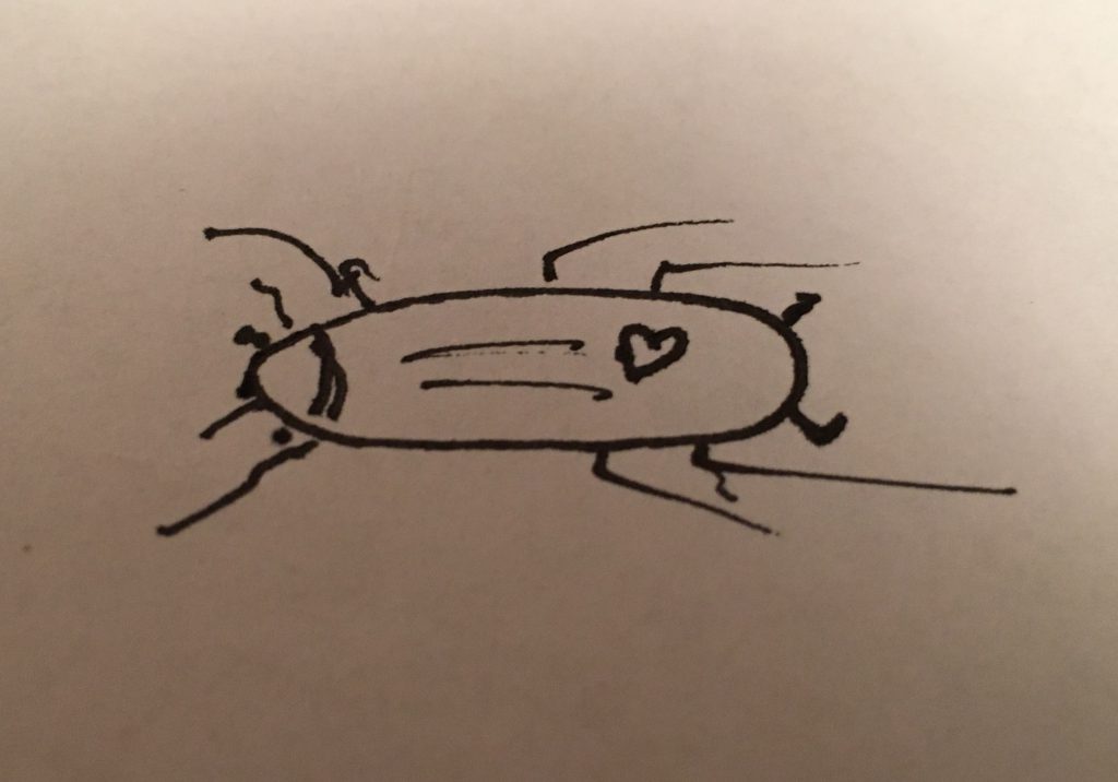 50W – The Beautiful Cockroach by Stephen Pohlmann - Illustrated by By the Author - Ourboox.com