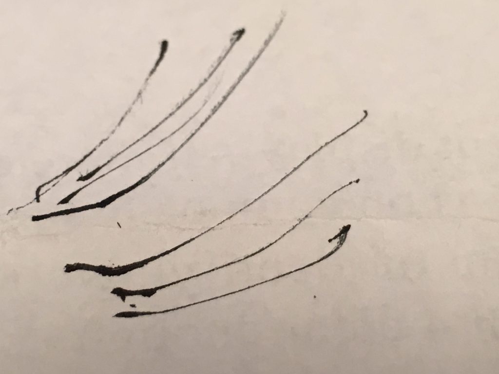50W – The Beautiful Cockroach by Stephen Pohlmann - Illustrated by By the Author - Ourboox.com