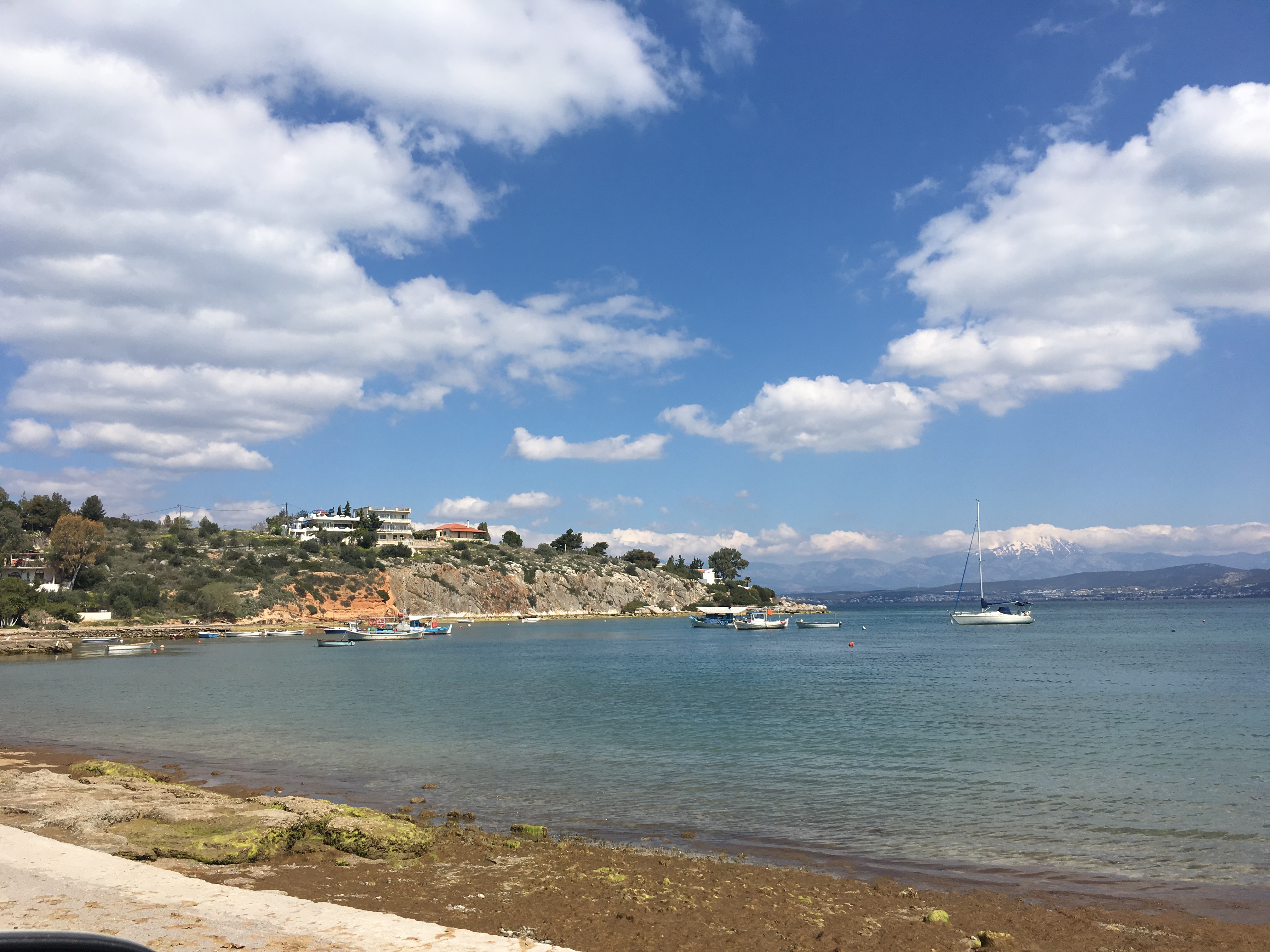 The stones of Thebes Θήβα and the shells of Halkida- Χαλκίδα GREECE by Shuli Sapir-Nevo Photo and Motto - Illustrated by shulamit SAPIR-NEVO - Ourboox.com