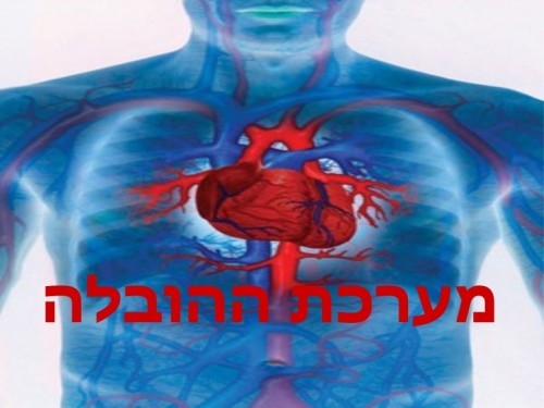 מדעים by reem kadi - Ourboox.com מדעים by reem kadi - Ourboox.com