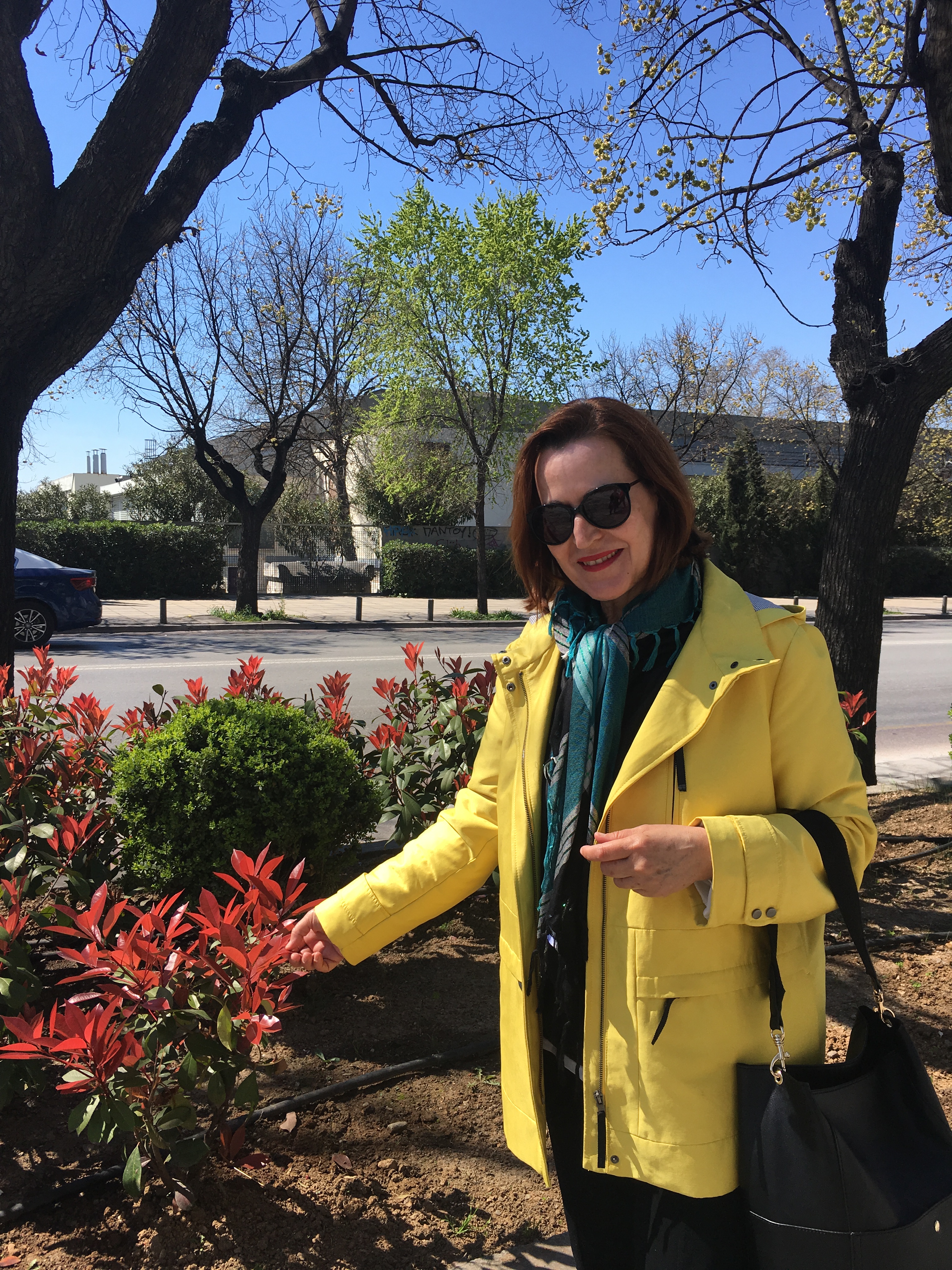 Spring in Thessaloniki And in my heart🌹🌸🌺🌷 Άνοιξη στη Θεσσαλονίκη και στην καρδιά μου by Shuli Sapir-Nevo Photo and Motto - Illustrated by shulamit SAPIR-NEVO - Ourboox.com