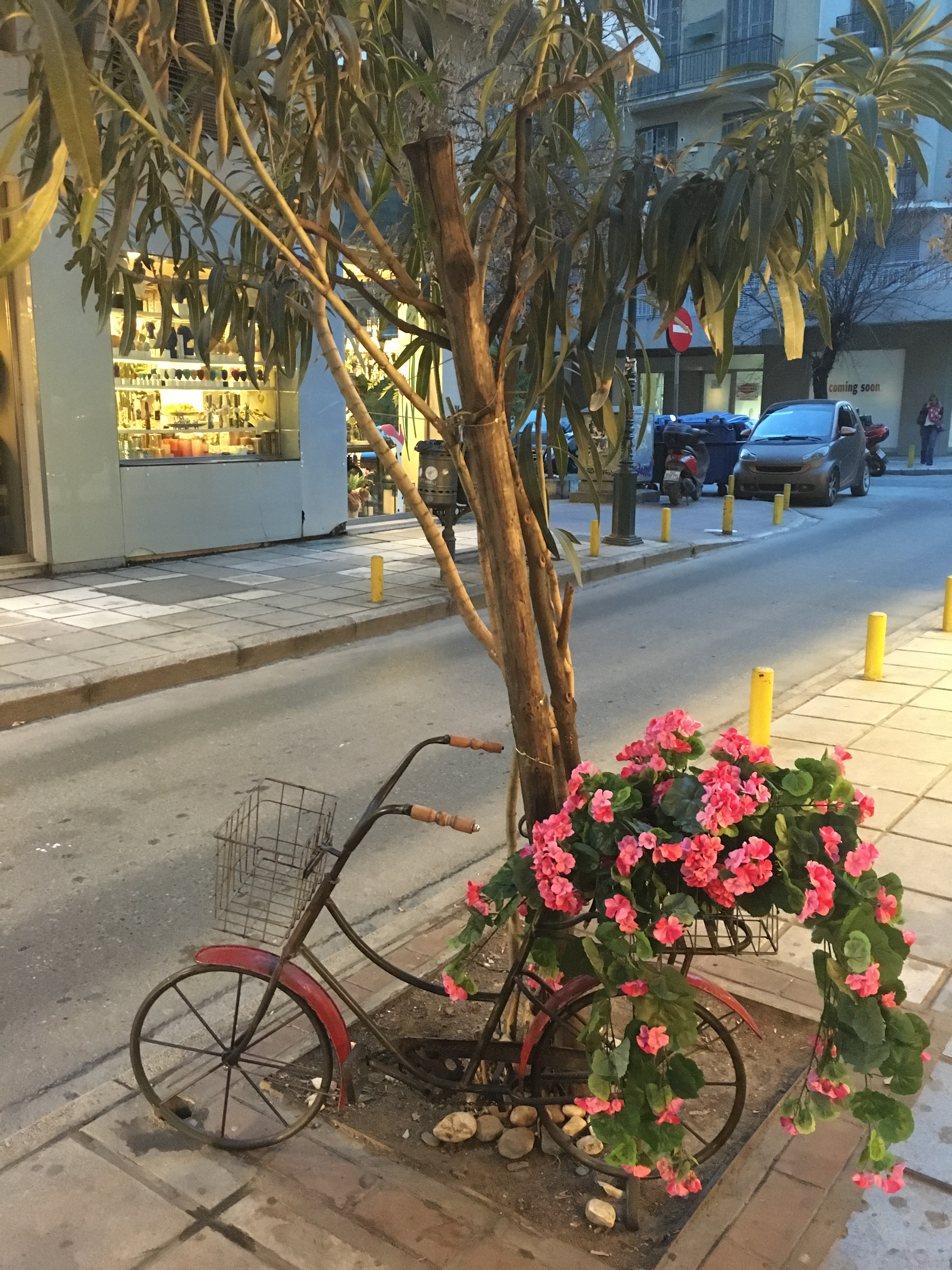Spring in Thessaloniki And in my heart🌹🌸🌺🌷 Άνοιξη στη Θεσσαλονίκη και στην καρδιά μου by Shuli Sapir-Nevo Photo and Motto - Illustrated by shulamit SAPIR-NEVO - Ourboox.com