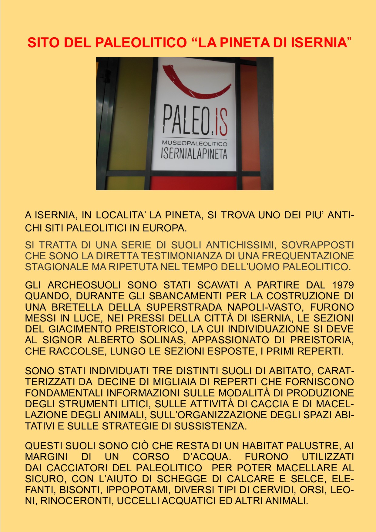 CASTELLO PANDONE DI VENAFRO E SITO PALEOLITICO “LA PINETA” DI ISERNIA by gina tullo - Illustrated by Alunni classe terza sezione A plesso di Ripalimosani - Ourboox.com