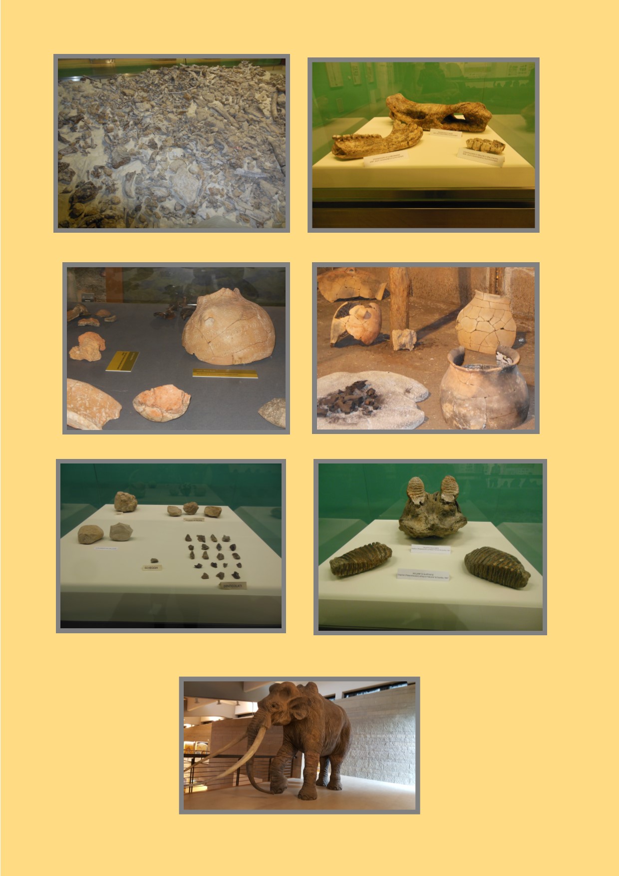 CASTELLO PANDONE DI VENAFRO E SITO PALEOLITICO “LA PINETA” DI ISERNIA by gina tullo - Illustrated by Alunni classe terza sezione A plesso di Ripalimosani - Ourboox.com