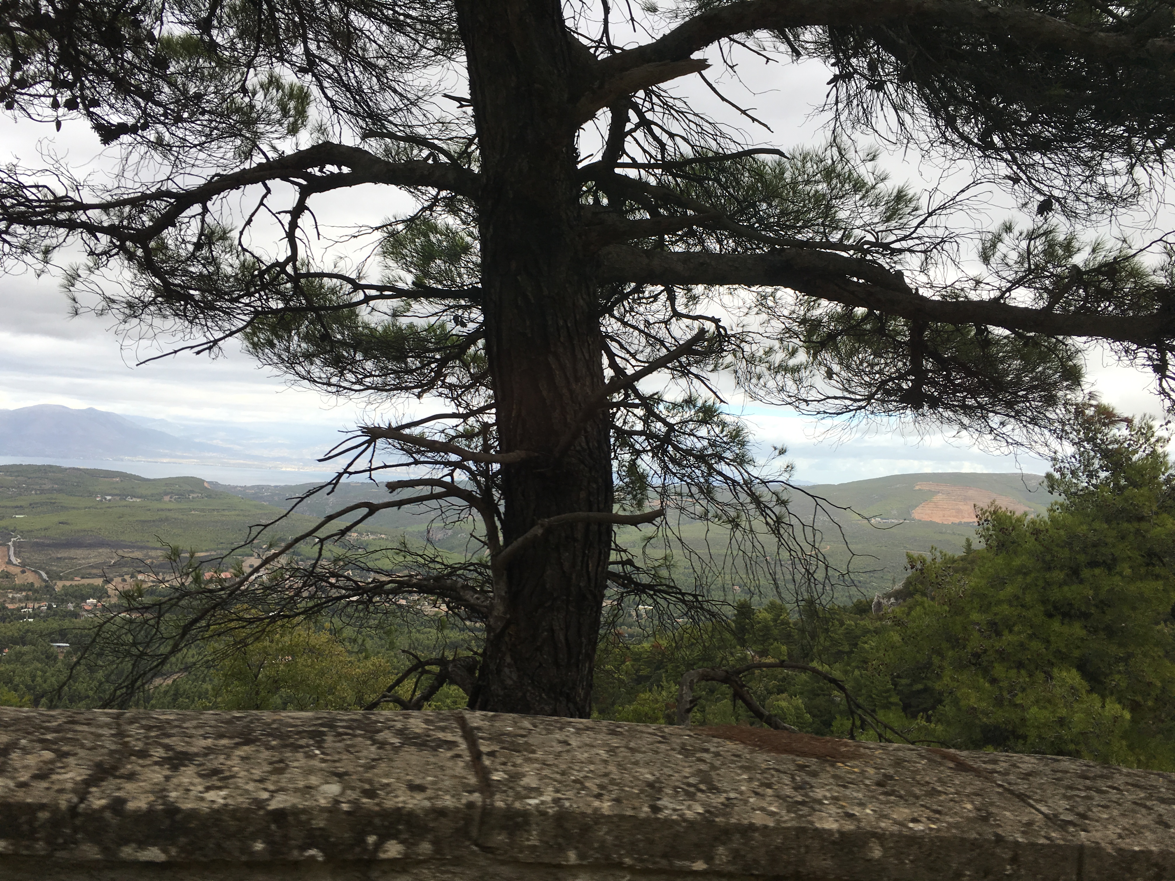 The magic of Nafplio and more of Greece- Trips with Kostas Kefalakis by Shuli Sapir-Nevo Photo and Motto - Illustrated by shulamit SAPIR-NEVO - Ourboox.com