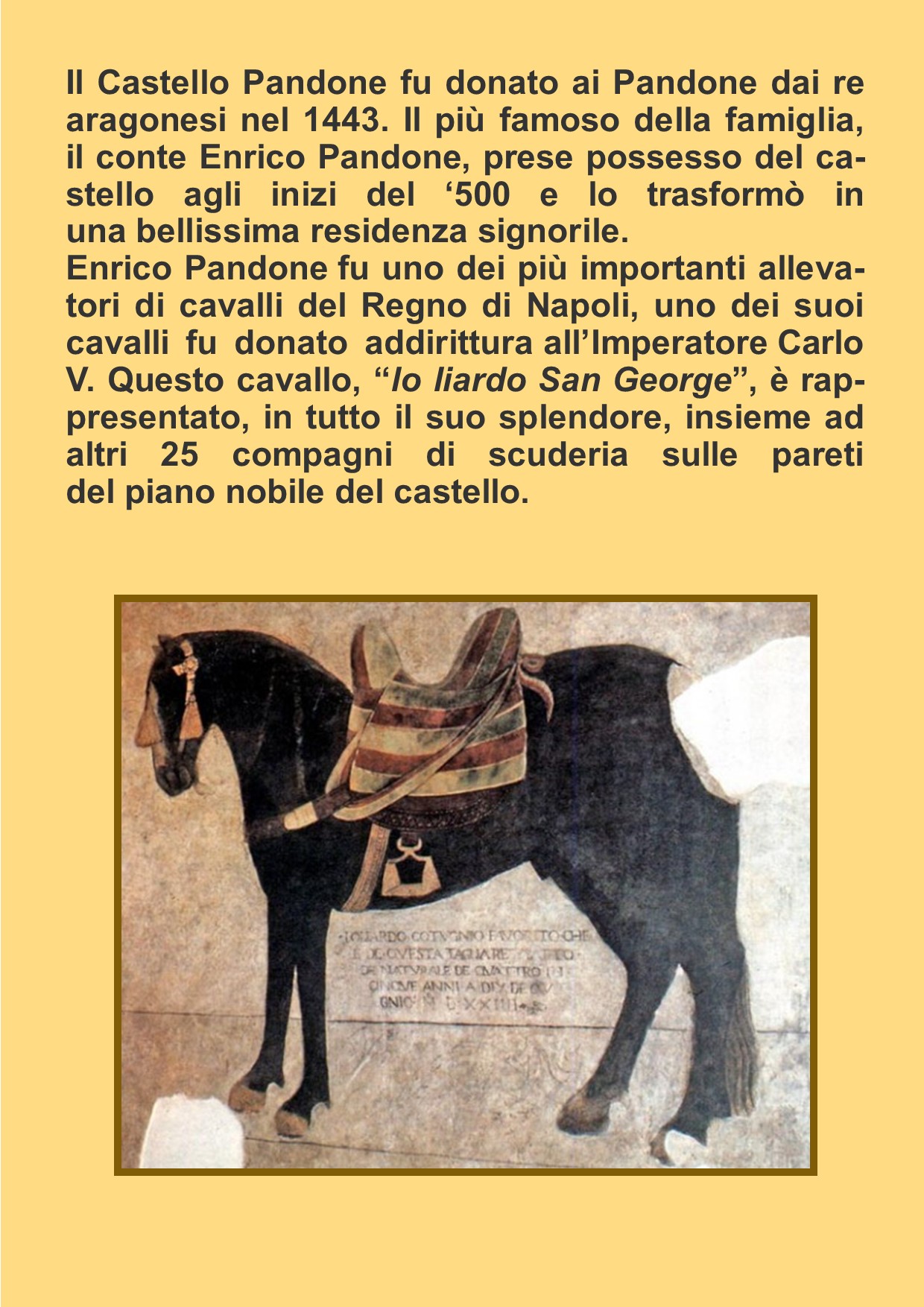 CASTELLO PANDONE DI VENAFRO E SITO PALEOLITICO “LA PINETA” DI ISERNIA by gina tullo - Illustrated by Alunni classe terza sezione A plesso di Ripalimosani - Ourboox.com