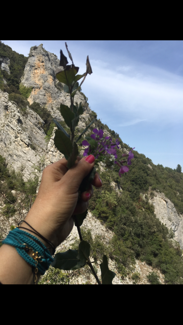 Spring in Thessaloniki And in my heart🌹🌸🌺🌷 Άνοιξη στη Θεσσαλονίκη και στην καρδιά μου by Shuli Sapir-Nevo Photo and Motto - Illustrated by shulamit SAPIR-NEVO - Ourboox.com