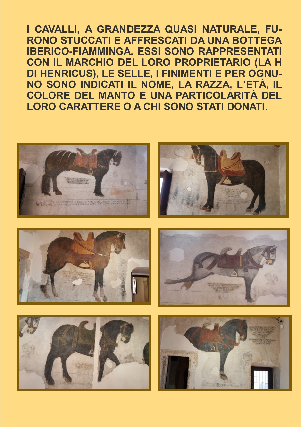CASTELLO PANDONE DI VENAFRO E SITO PALEOLITICO “LA PINETA” DI ISERNIA by gina tullo - Illustrated by Alunni classe terza sezione A plesso di Ripalimosani - Ourboox.com