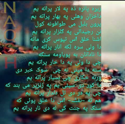 NAقSH