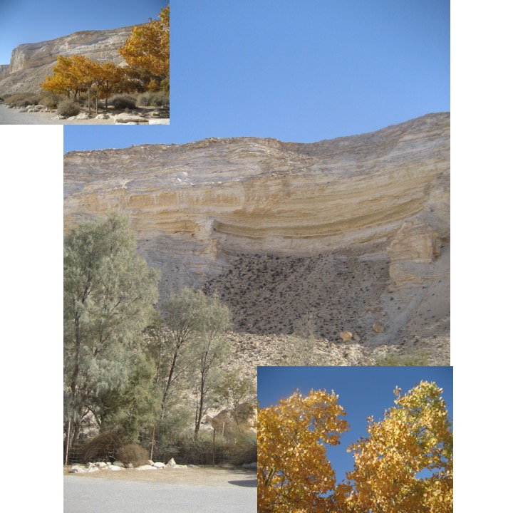 # 90 – Negev by Stephen Pohlmann - Ourboox.com