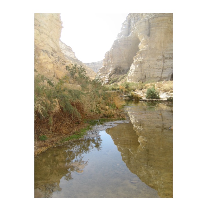 # 90 – Negev by Stephen Pohlmann - Ourboox.com