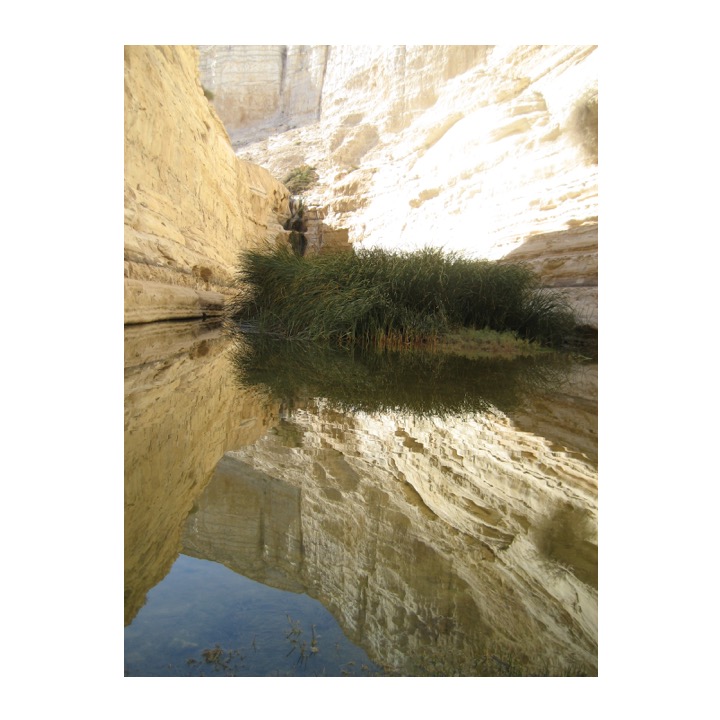 # 90 – Negev by Stephen Pohlmann - Ourboox.com