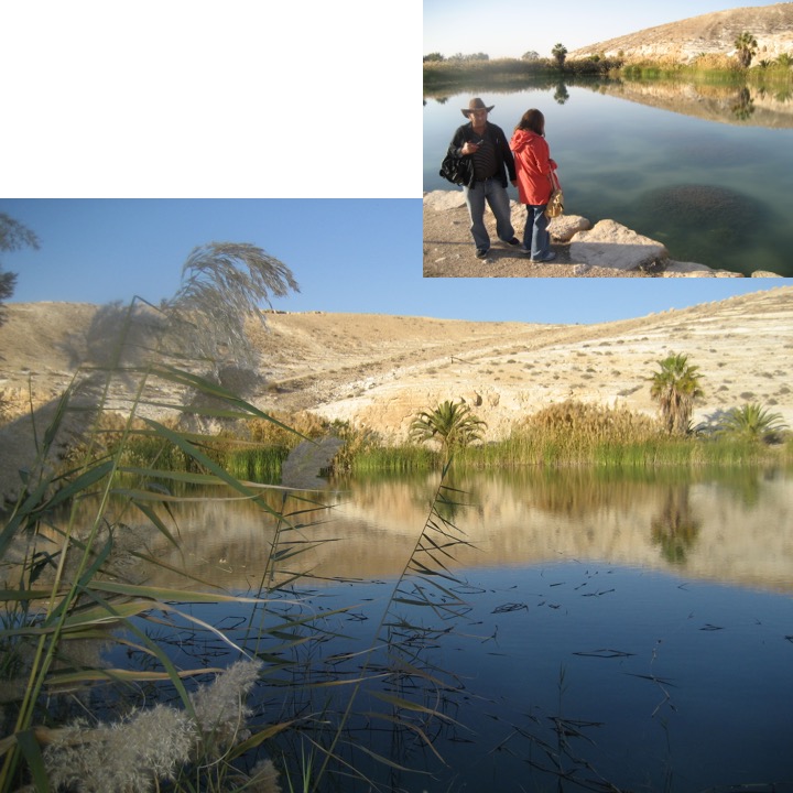 # 90 – Negev by Stephen Pohlmann - Ourboox.com