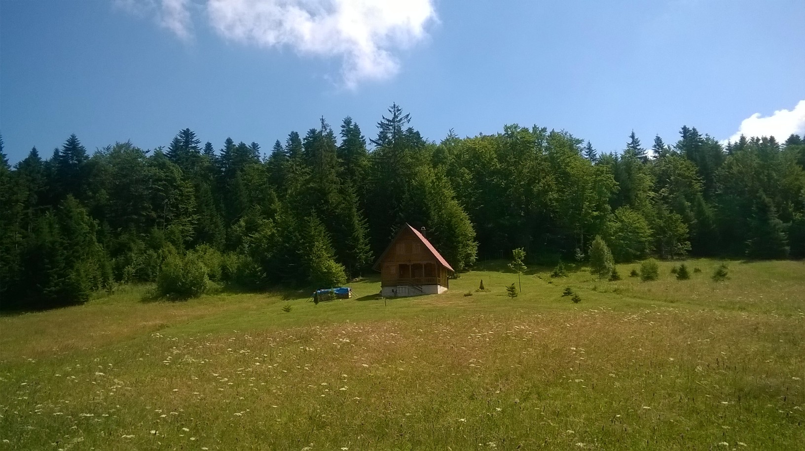 чека и шумска ливада
