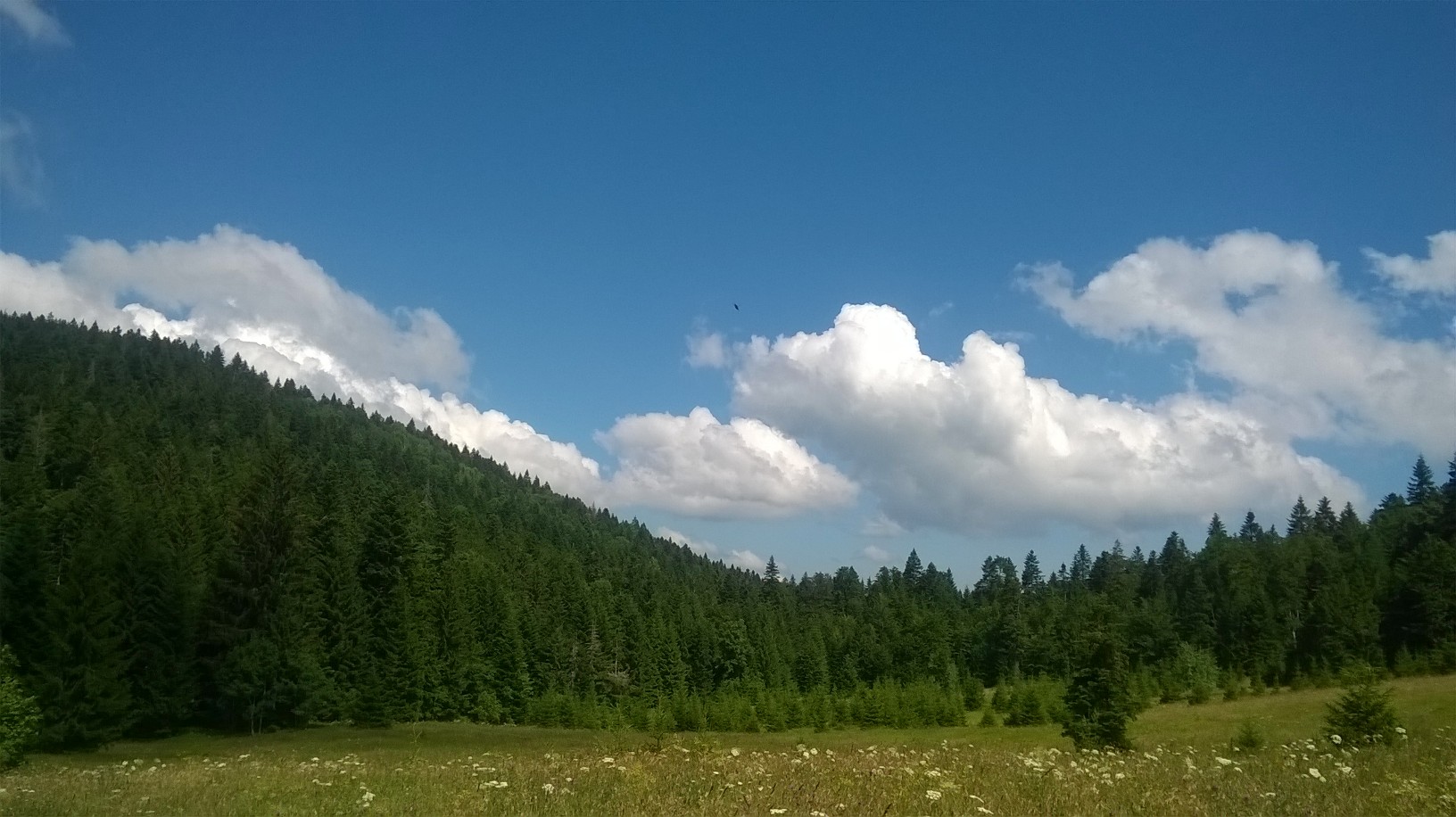 небо код чеке за медведе