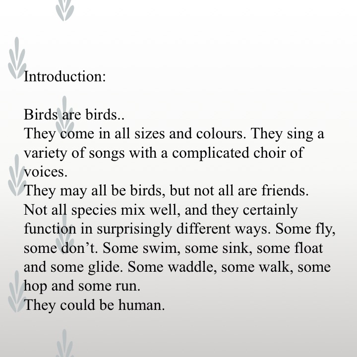 Old People’s Birds by Stephen Pohlmann - Illustrated by The Elderly of Israel - Ourboox.com